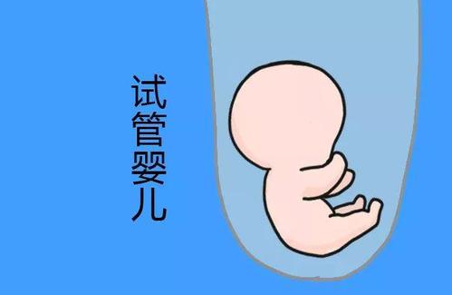 供卵试管服务